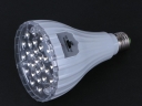 RL-3129 29 White LED Energy-saving Lamp